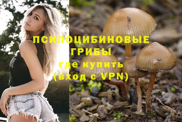 ECSTASY Белокуриха