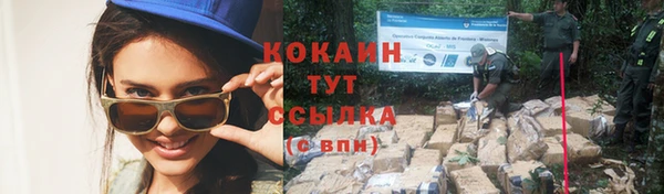 стаф Богородицк