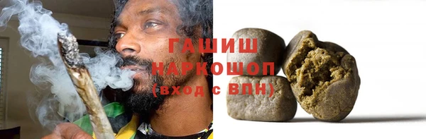 метадон Богданович