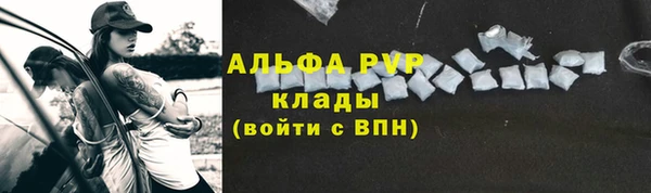 стаф Богородицк