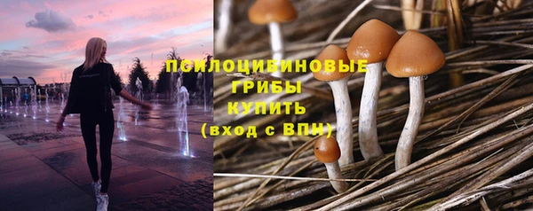 метадон Богданович