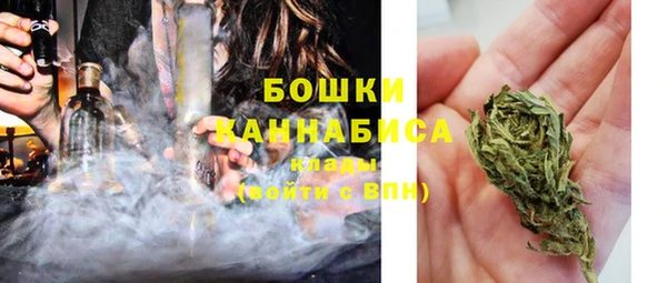 ECSTASY Белокуриха