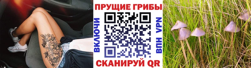 Псилоцибиновые грибы GOLDEN TEACHER купить наркоту Благодарный
